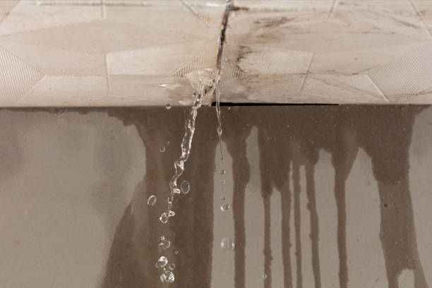 Professional Structural Drying technician working in Mine Hill, NJ